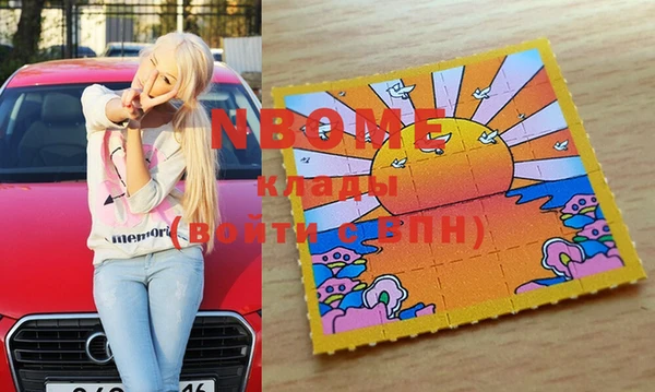 МДПВ Пересвет