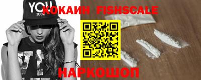 МДПВ Камышлов