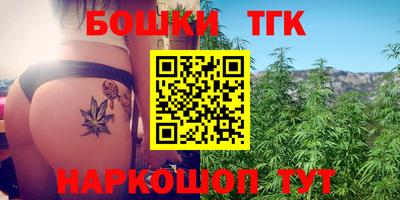 МДПВ Камышлов