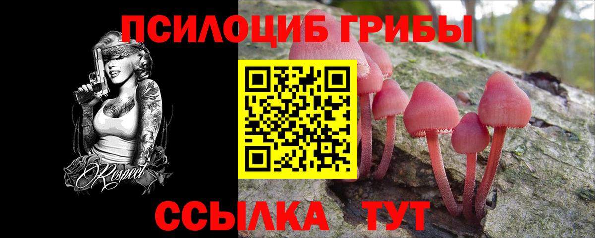 Галлюциногенные грибы MAGIC MUSHROOMS  Вход с VPN  Саянск  Галлюциногенные грибы Cubensis 